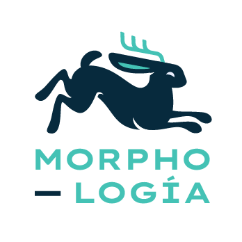 Logo_Morphología-06
