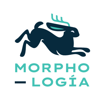 Logo_Morphología-06